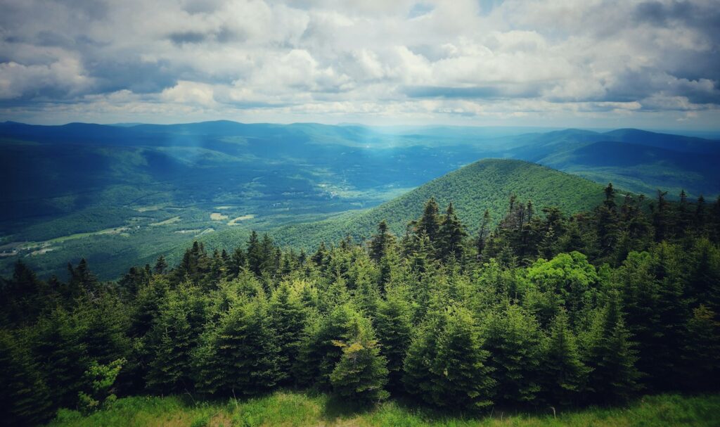 a scenic view of the mountains and trees