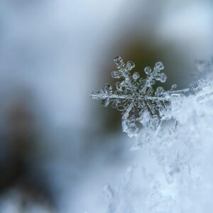 focused photo of a snow flake